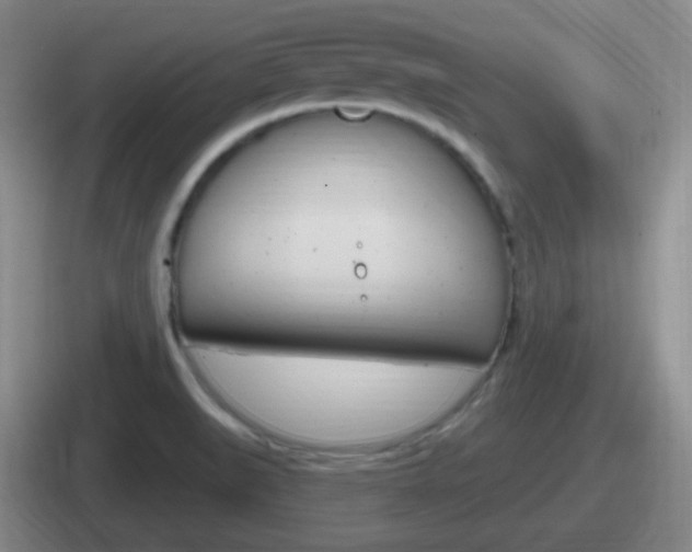 X0000112071519201007220956