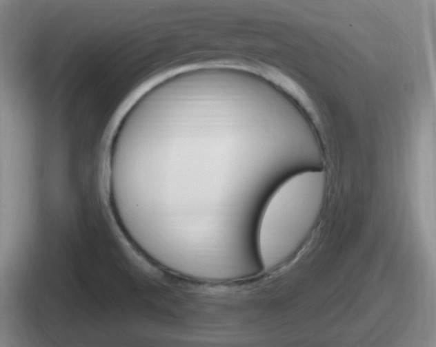 X0000112071520201007220956