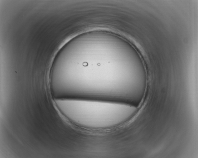 X0000112071521201007220956