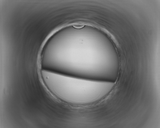 X0000112071522201007220956