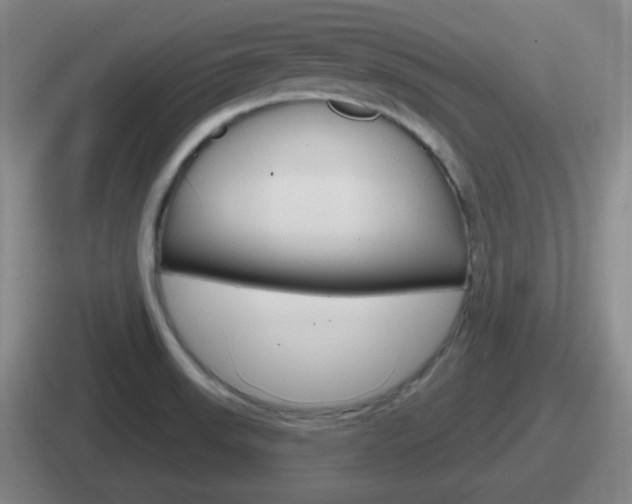 X0000112071523201007220956