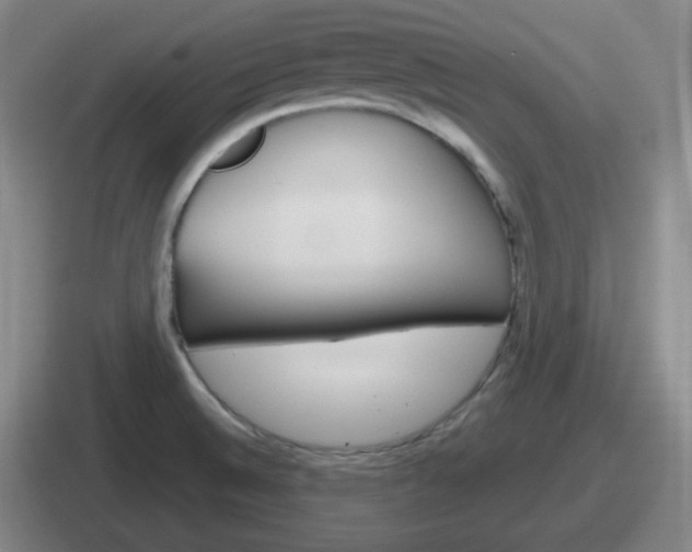 X0000112071524201007220957