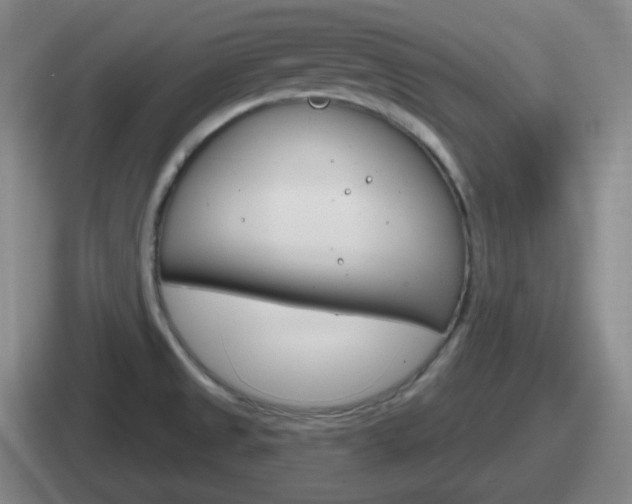 X0000112071525201007220957