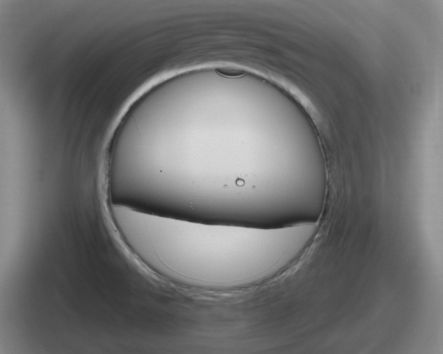 X0000112071526201007220957