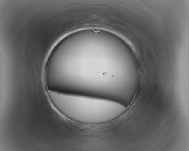 X0000112071527201007220957