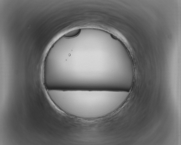 X0000112071528201007220957