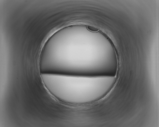 X0000112071529201007220957