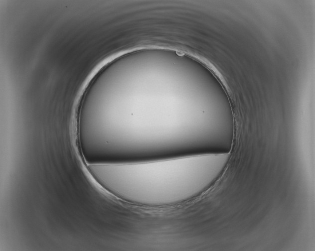 X0000112071531201007220957
