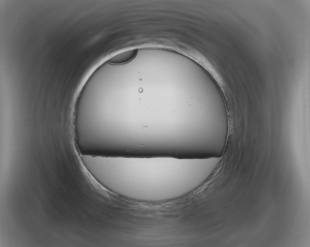 X0000112071532201007220957