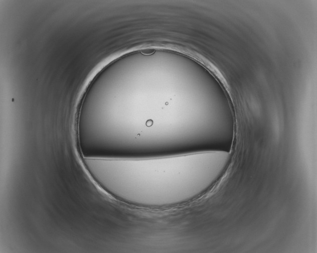 X0000112071533201007220957
