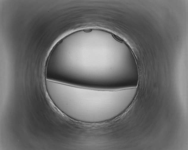 X0000112071534201007220957
