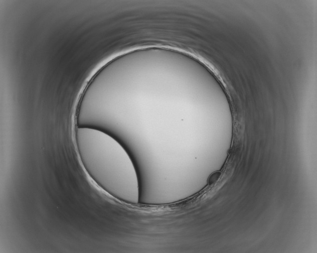 X0000112071535201007220957