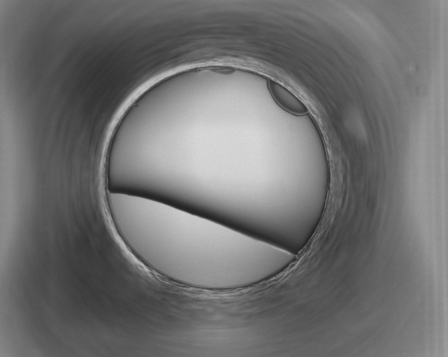 X0000112071536201007220957