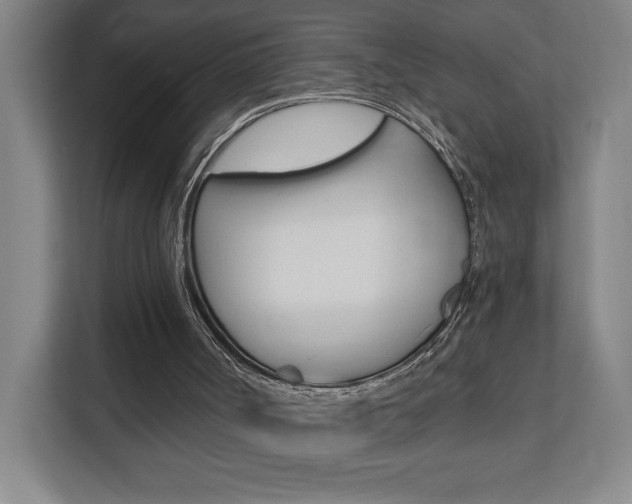 X0000112080002200908041020