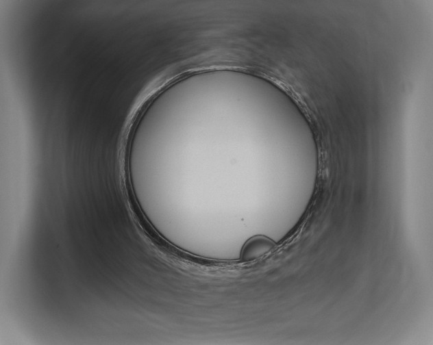 X0000112080004200908041020