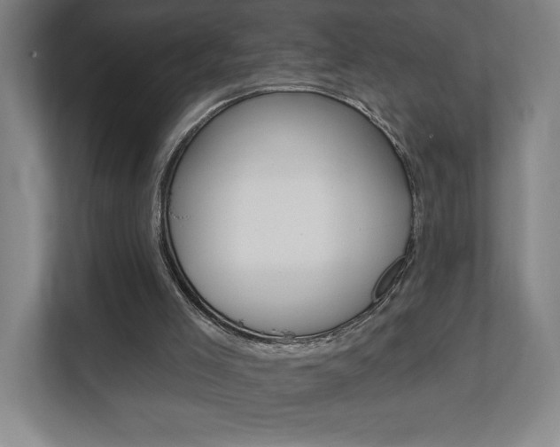X0000112080005200908041020
