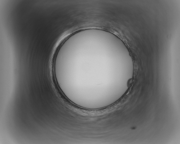 X0000112080006200908041020