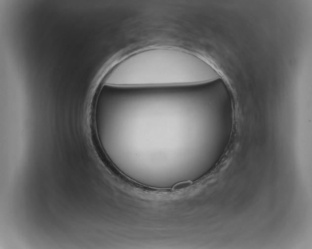X0000112080007200908041020