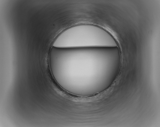 X0000112080009200908041020