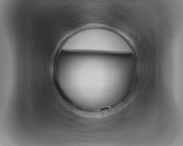 X0000112080015200908041020