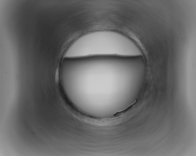 X0000112080019200908041020