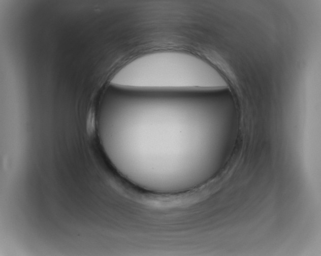 X0000112080021200908041019
