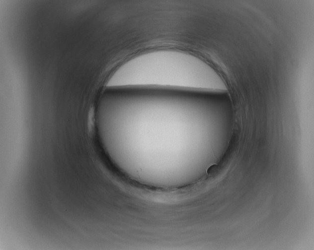 X0000112080024200908041019