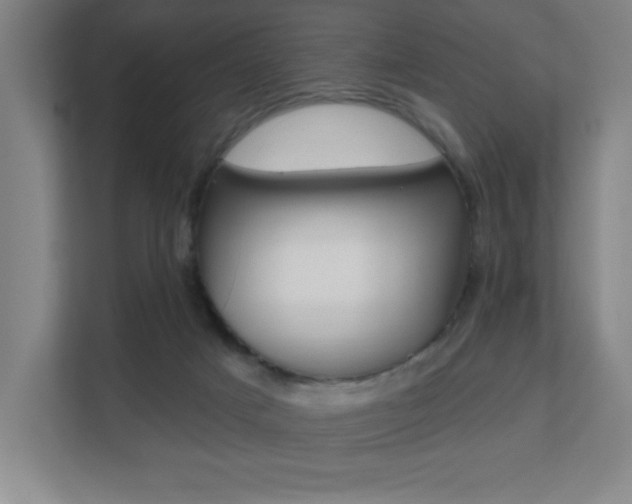 X0000112080025200908041019