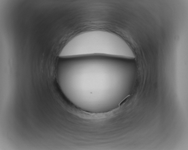X0000112080031200908041019