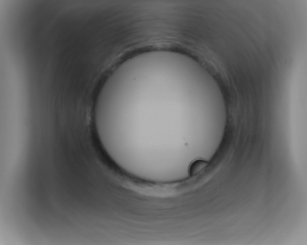 X0000112080032200908041019