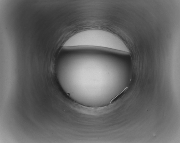 X0000112080035200908041019