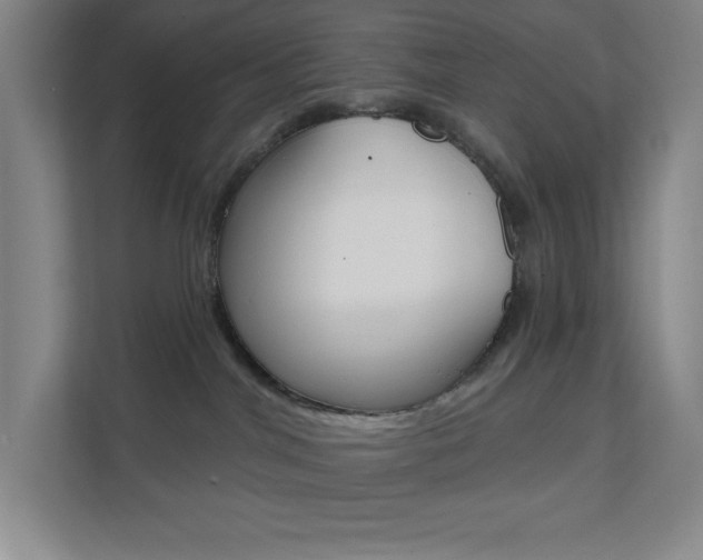 X0000112080044200908041019