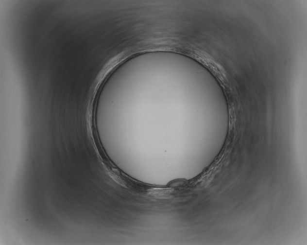 X0000112080051200908041019