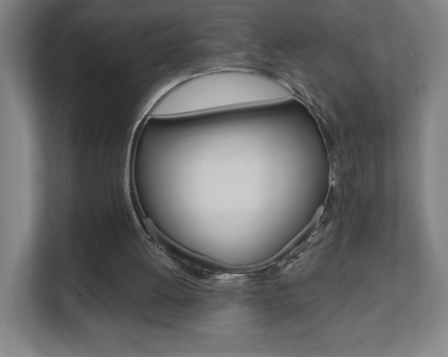 X0000112080052200908041019