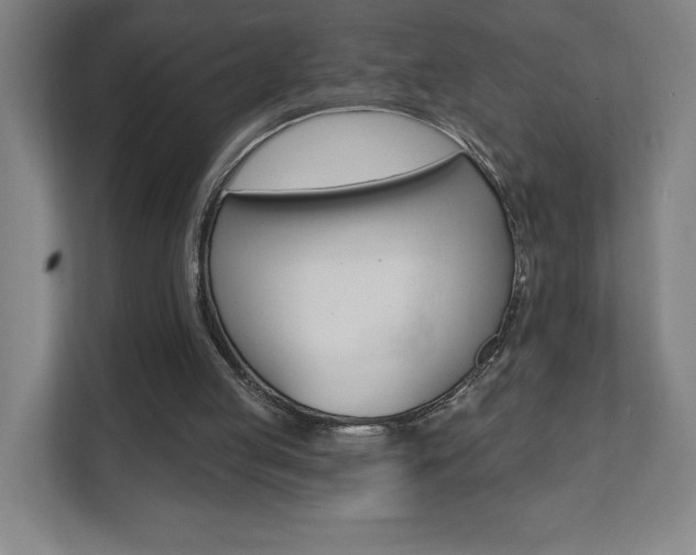 X0000112080053200908041019