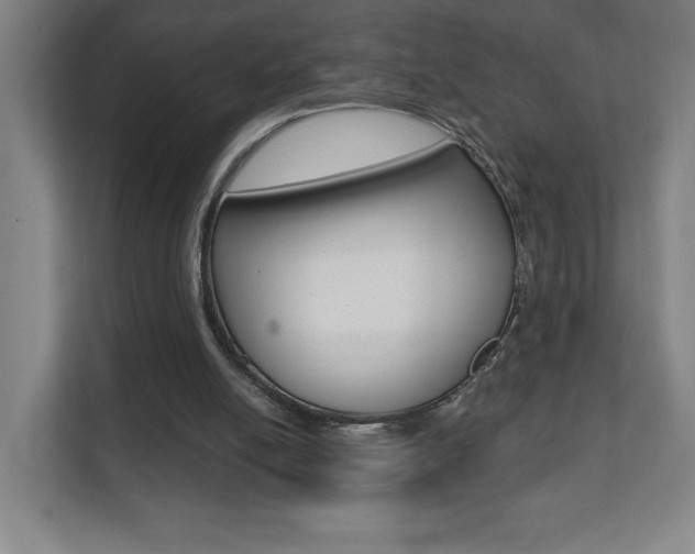 X0000112080054200908041019