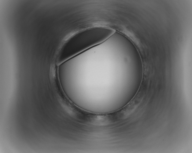 X0000112080060200908041019