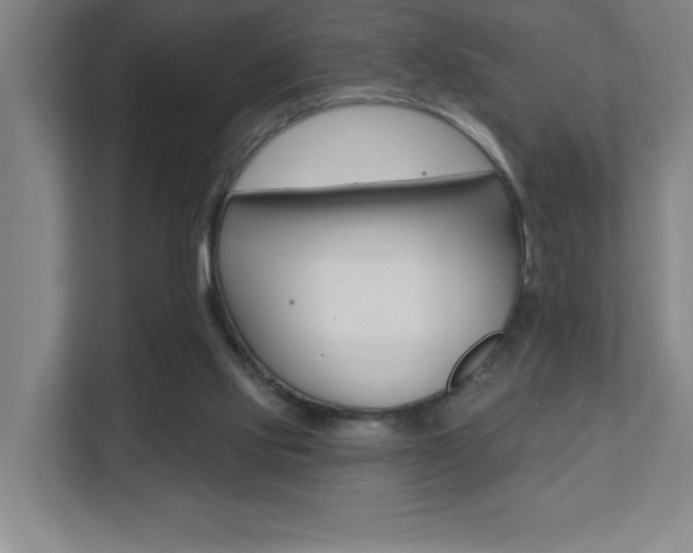 X0000112080061200908041019