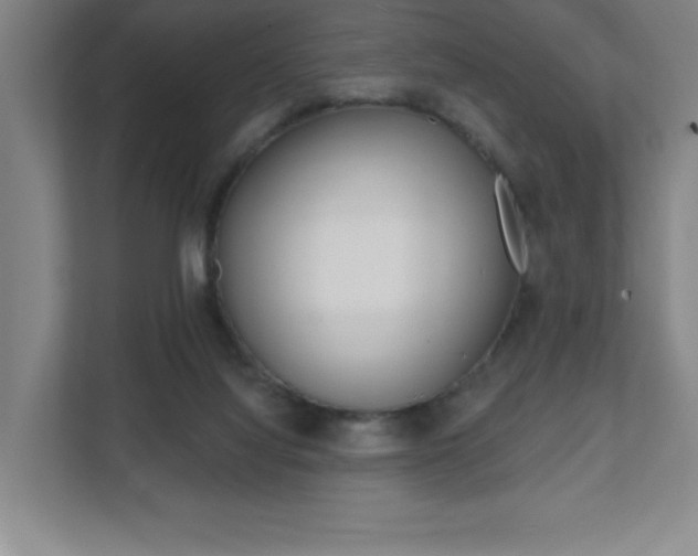 X0000112080068200908041019