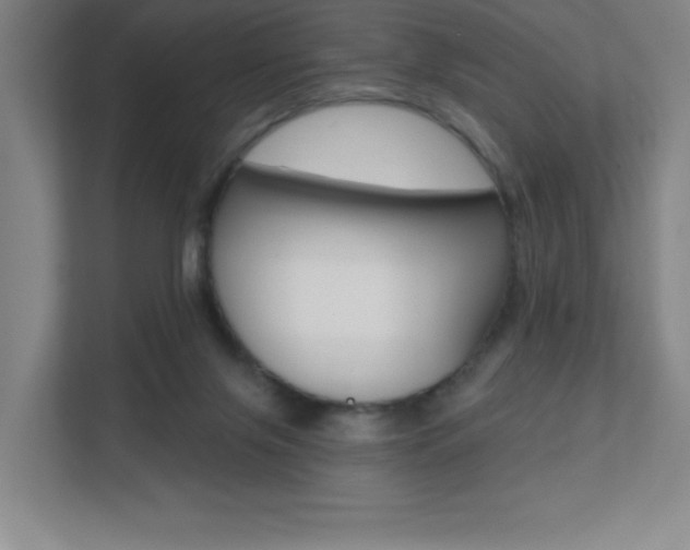 X0000112080071200908041019
