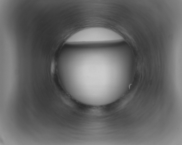 X0000112080076200908041019
