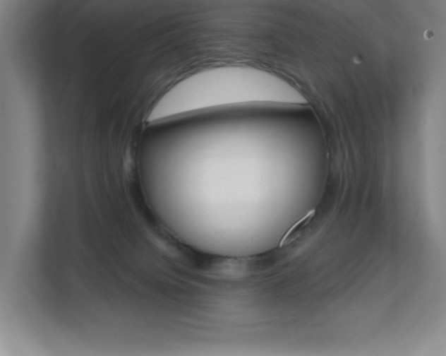 X0000112080084200908041019