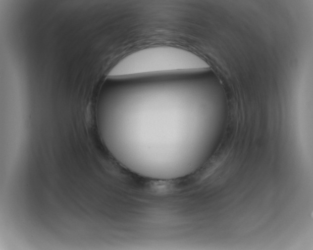 X0000112080088200908041019