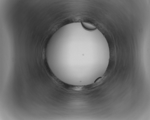 X0000112080090200908041019