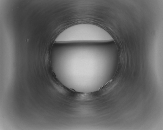 X0000112080092200908041019