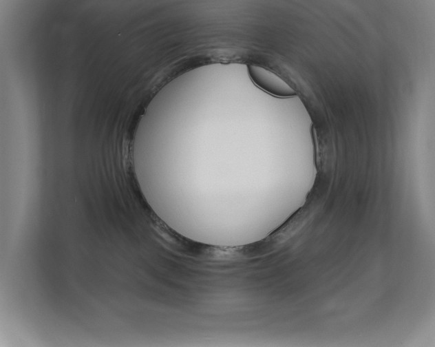 X0000112080093200908041019