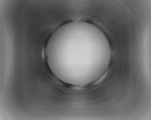 X0000112080094200908041019