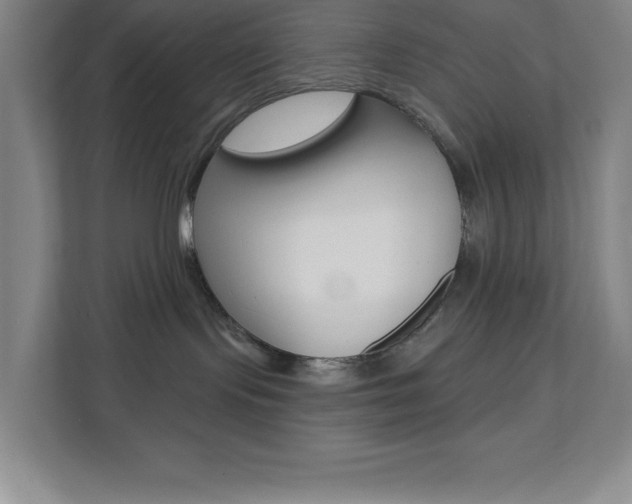 X0000112080095200908041019