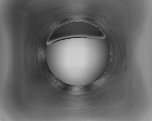 X0000112080096200908041019