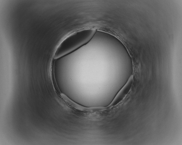 X0000112080100200908041018